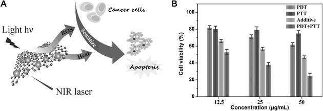 Figure 22