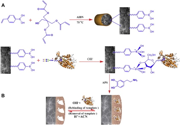 Figure 34