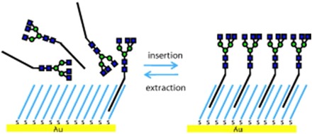 Figure 42