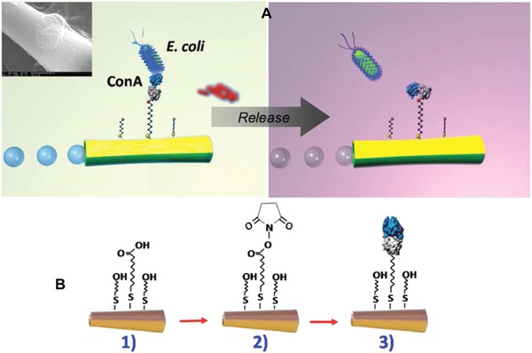 Figure 43