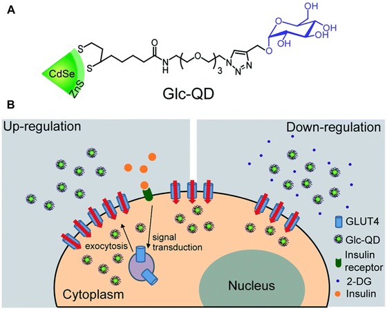 Figure 28