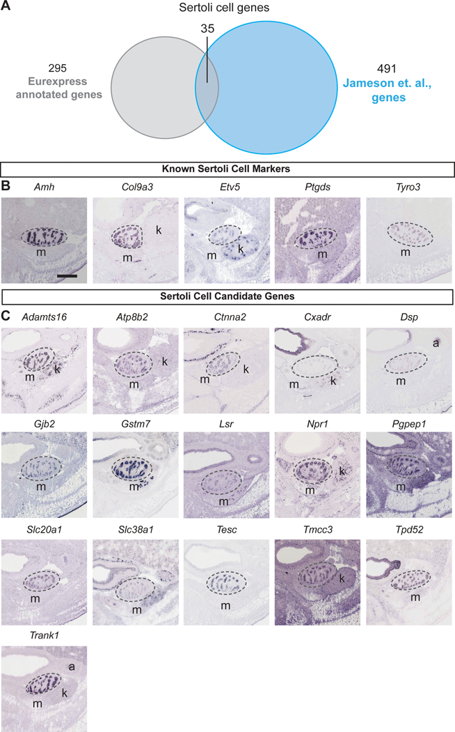 Fig. 2: