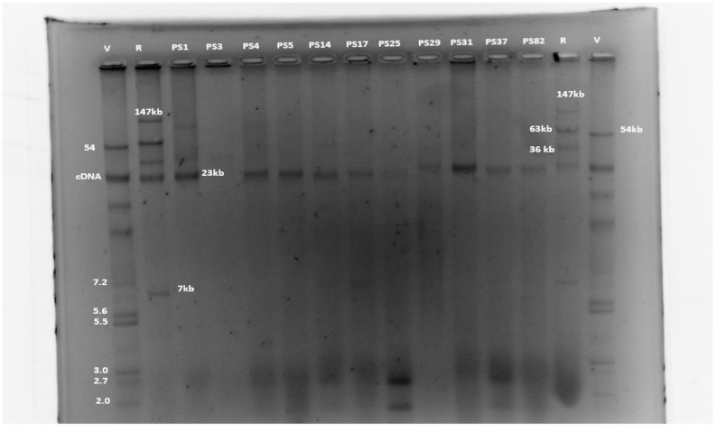 Figure 4.