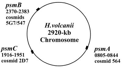 FIG. 6