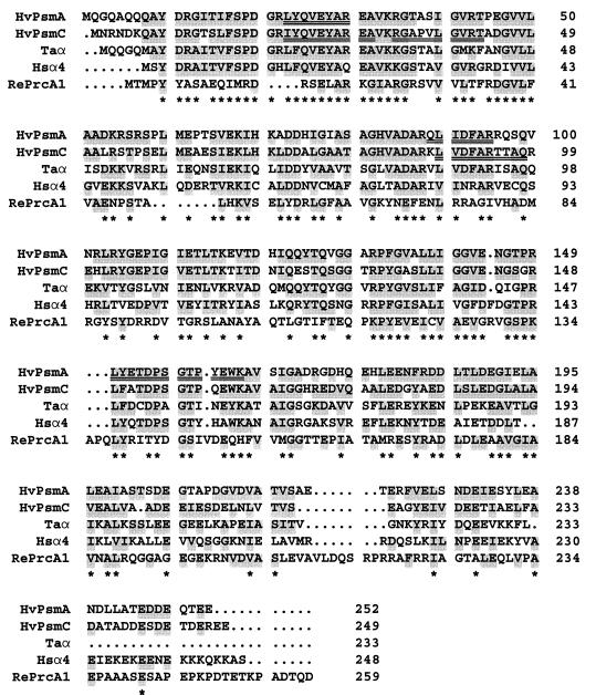 FIG. 8