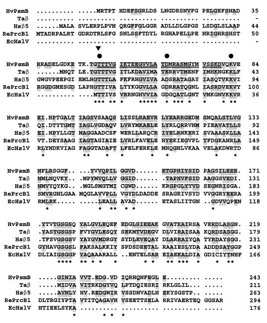 FIG. 7