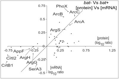 Fig 2.