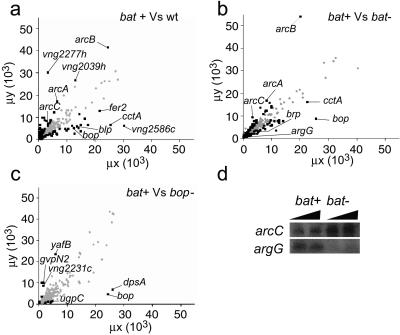 Fig 1.