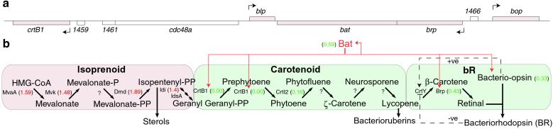 Fig 4.