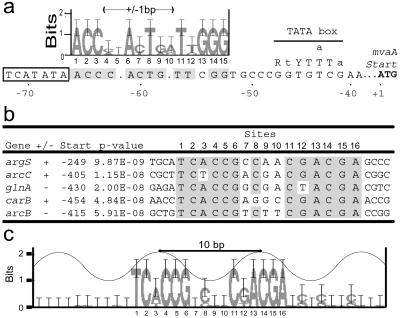 Fig 3.