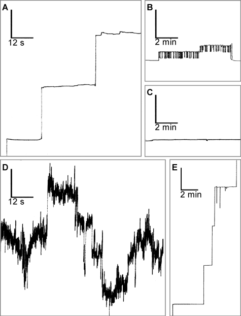 FIGURE 9.