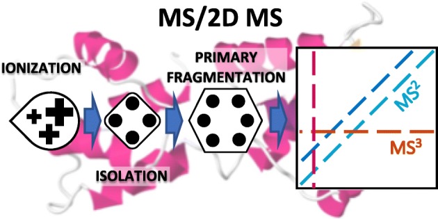 Graphical Abstract