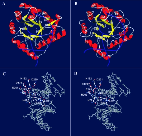 FIG. 8.