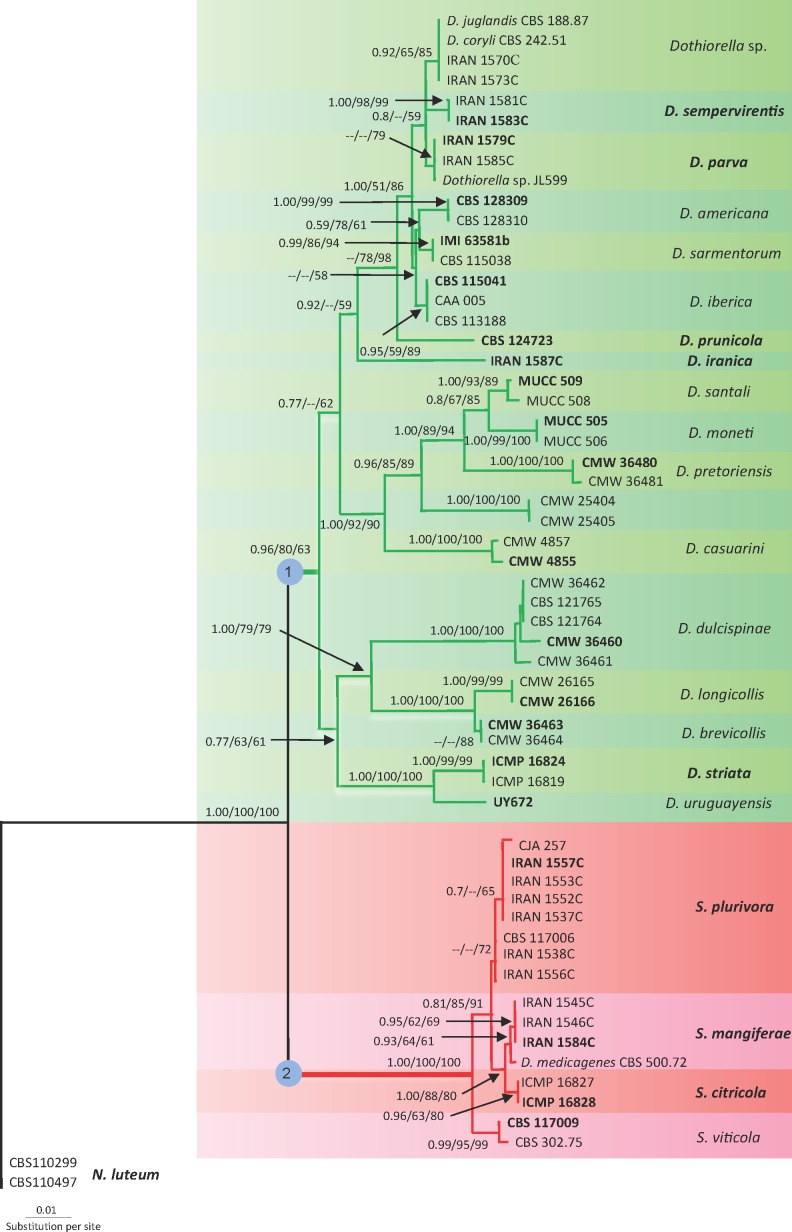 Fig. 1