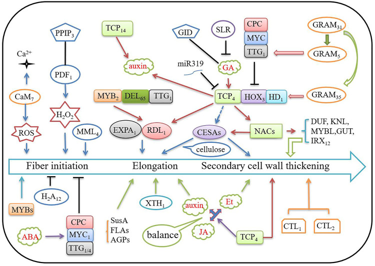 FIGURE 4