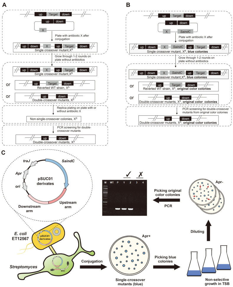 Fig. 2