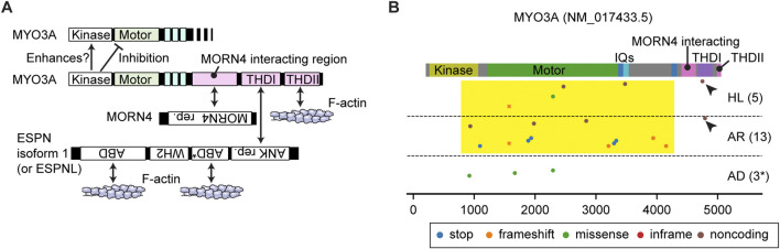 FIGURE 3