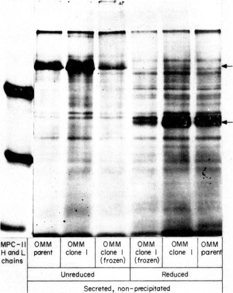 FIG. 5