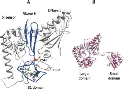 FIGURE 2.