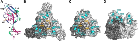 FIG. 7.