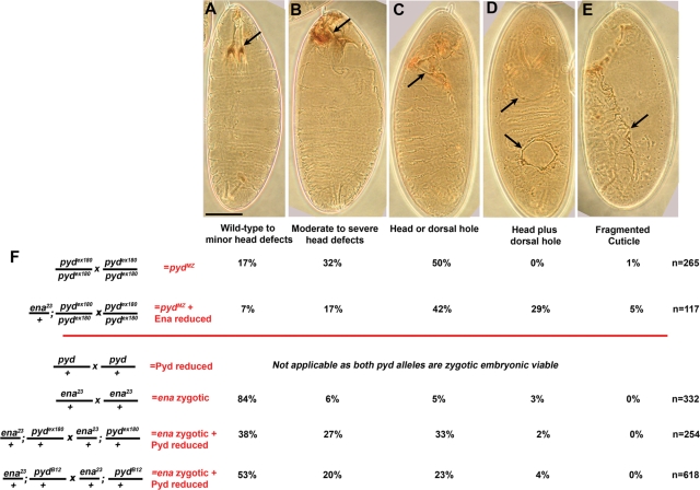 Figure 12: