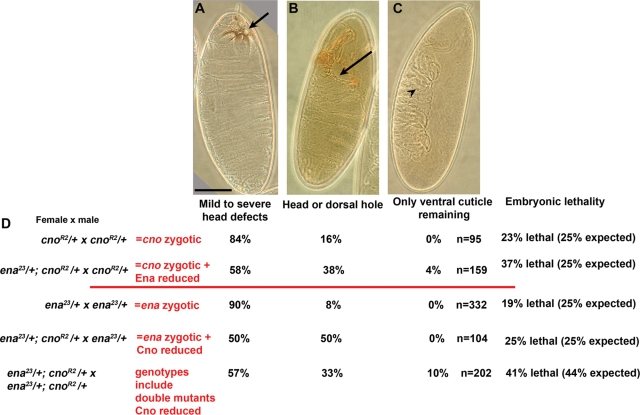 Figure 11: