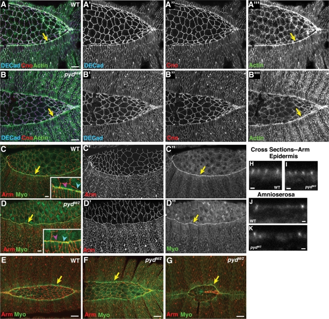 Figure 3: