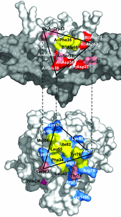 Fig. 3.