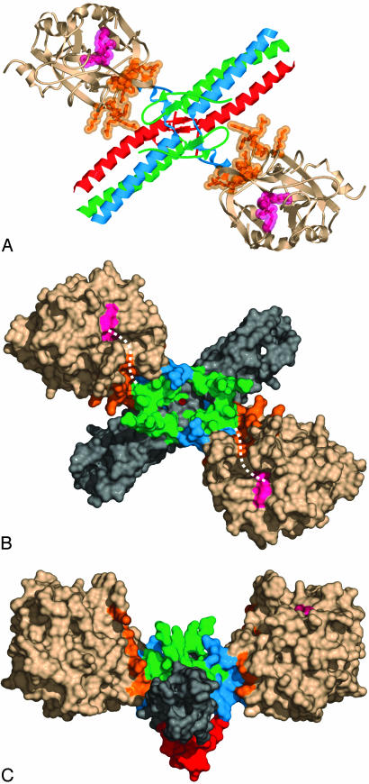 Fig. 1.