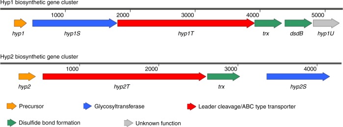 Fig. 4