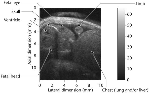 Fig. 3