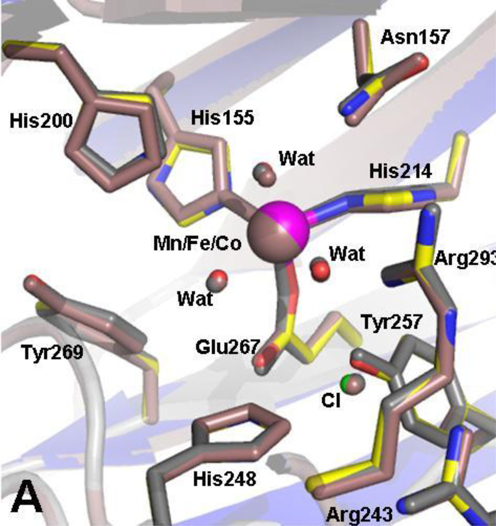 Fig. 3