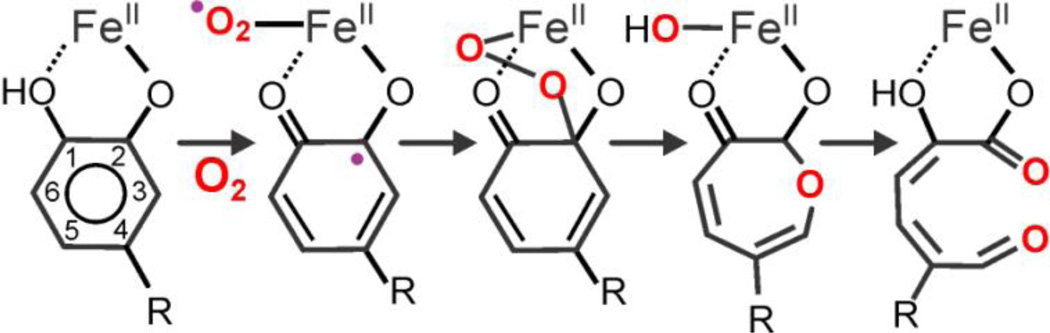 Scheme 2