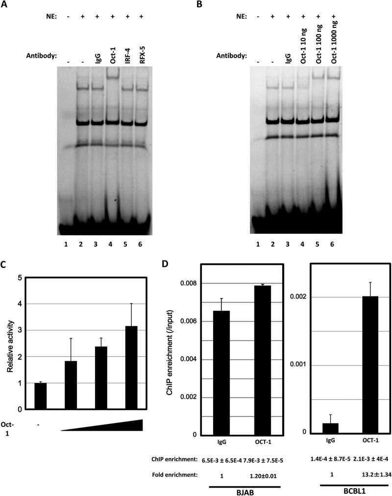 FIG 6