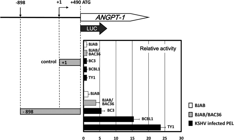 FIG 2