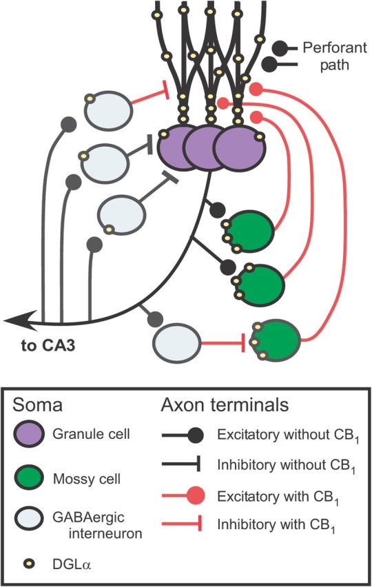 Figure 9.