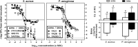 FIG 5