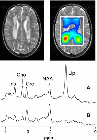 Fig. 7