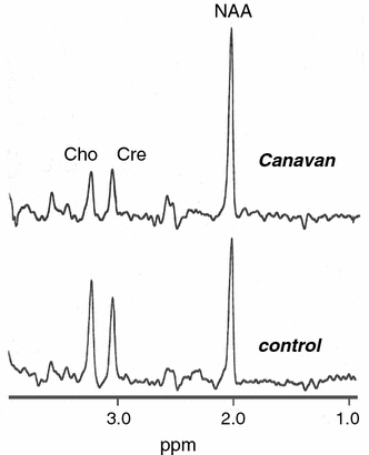 Fig. 5
