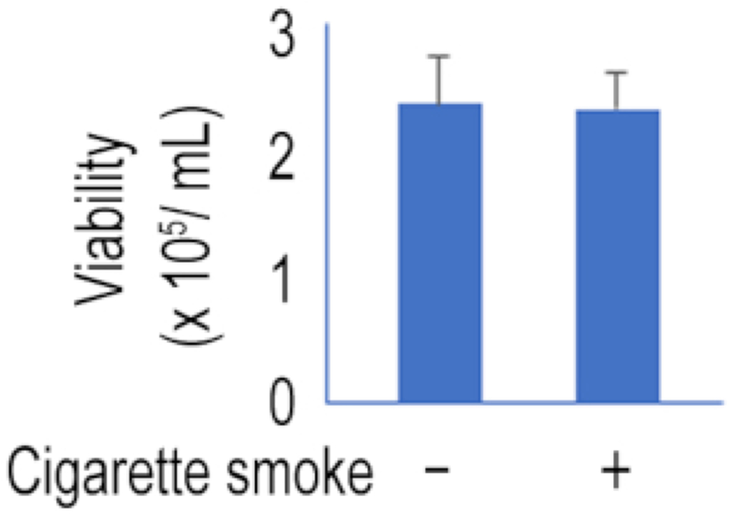 Figure 4: