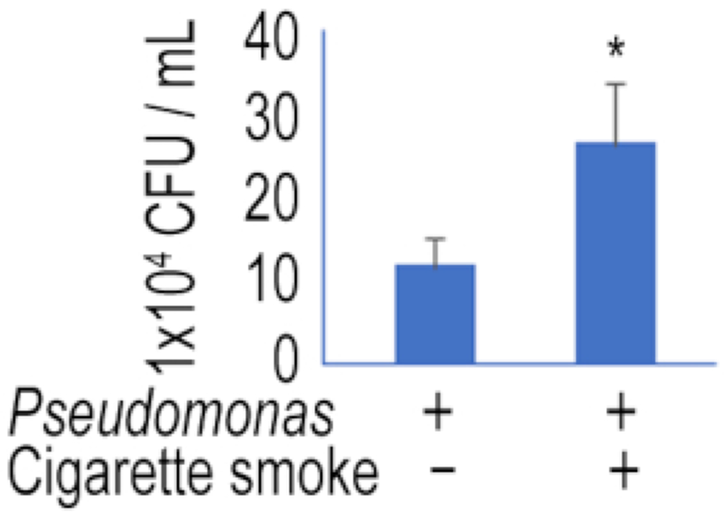 Figure 2: