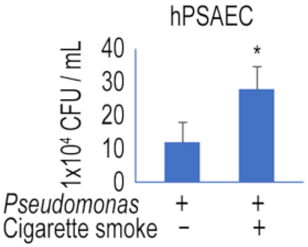 Figure 3: