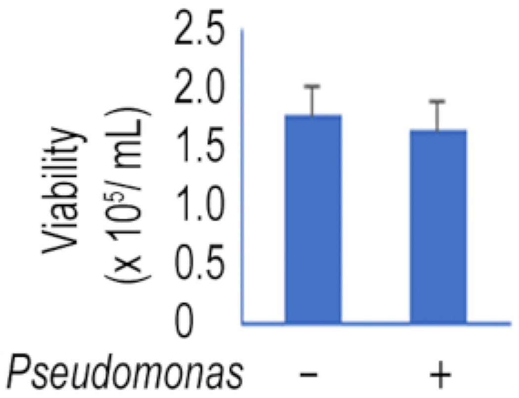 Figure 5: