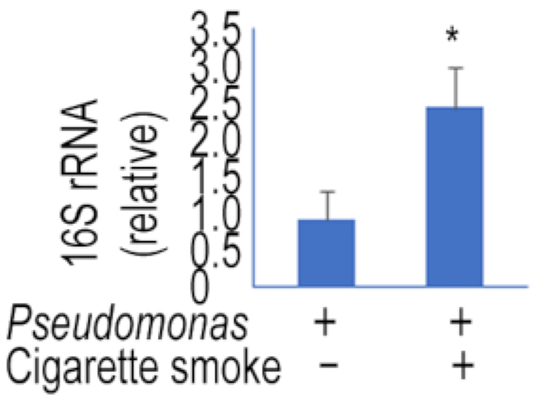 Figure 7: