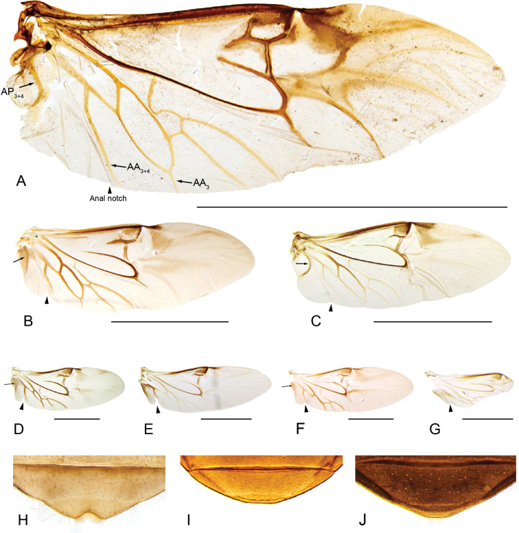 Figure 15.