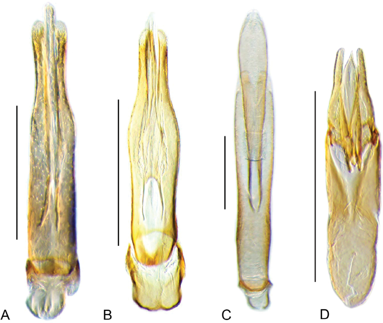 Figure 22.