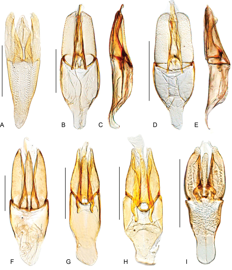 Figure 47.