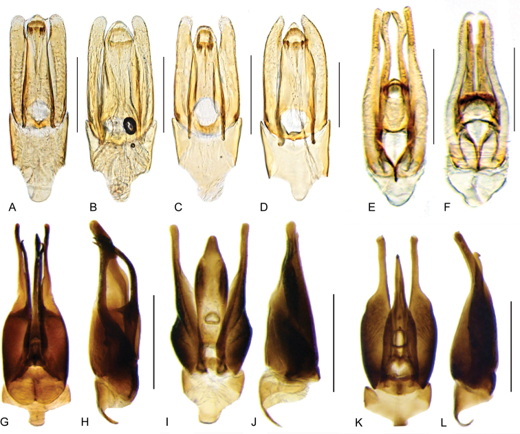 Figure 49.