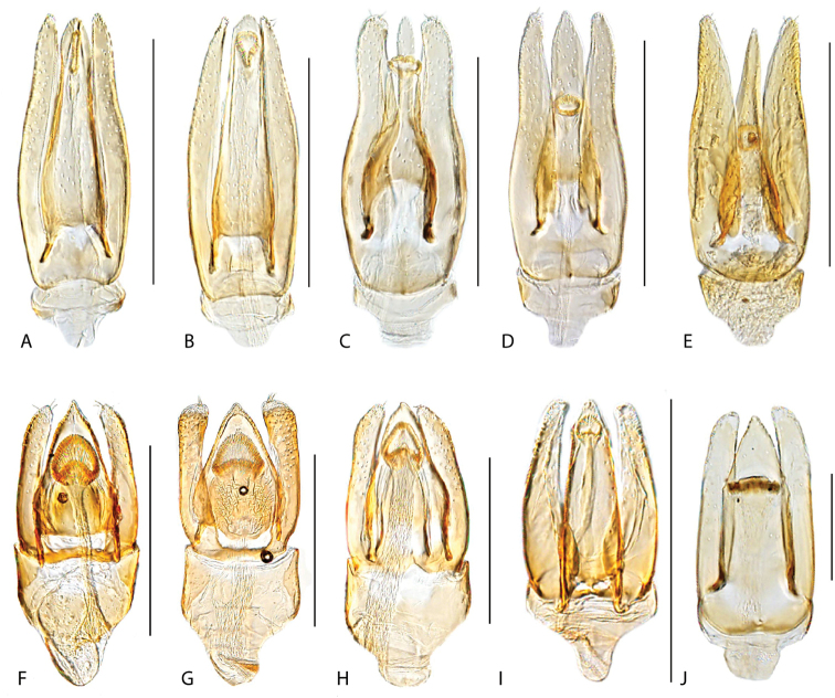 Figure 30.