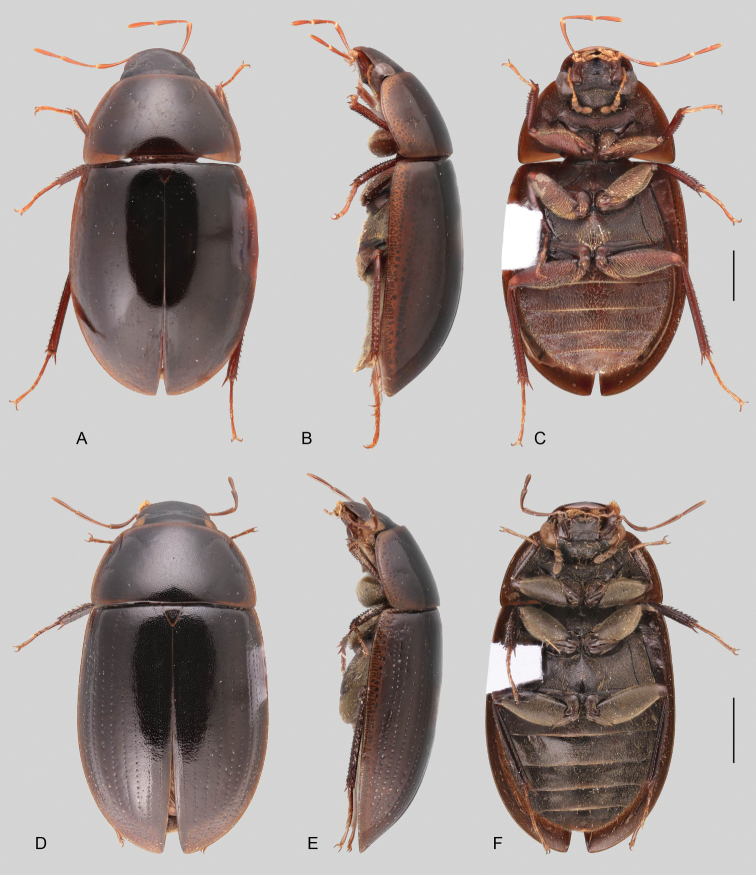 Figure 42.